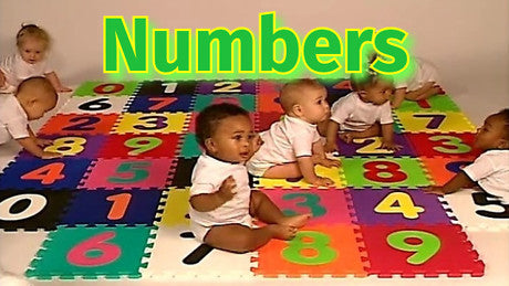 Baby's First Impressions Numbers Video